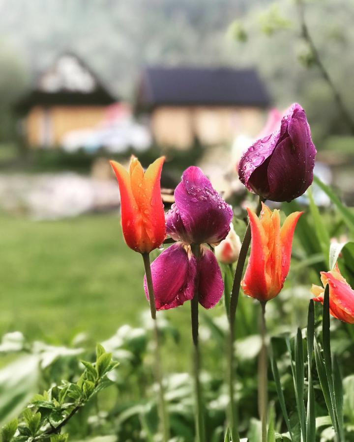 Mala Gorczanska Chatka Ochotnica Dolna Exteriér fotografie